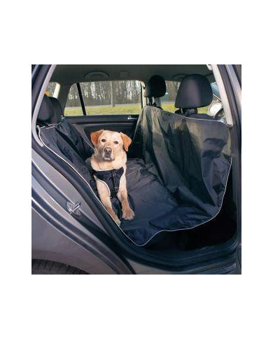 Accessori Auto per Cani: Viaggi Sicuri